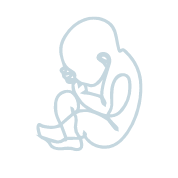 zufuettern-gewichtszunahme zufuettern-gewichtszunahme